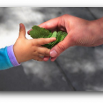 create a joint tenancy